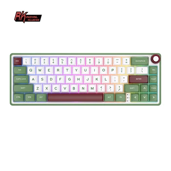 RK R65 Royal Kludge Laidinio Mechaninė Klaviatūra 66 Klavišus 65% Tarpiklis RGB Apšvietimu Karšto keitimu Žaidimų Klaviatūra su MDA PBT Keycaps